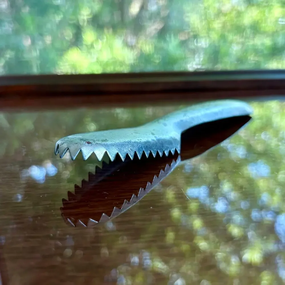 Vintage Speed Scaler Metal Fish Scaler Fishing Kitchen Tool